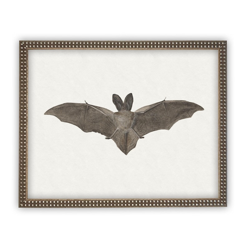 Vintage Framed Canvas Art // Framed Vintage Print // Vintage Halloween Painting // Spooky Bat Wall Art // Halloween print //#H-101 image 4