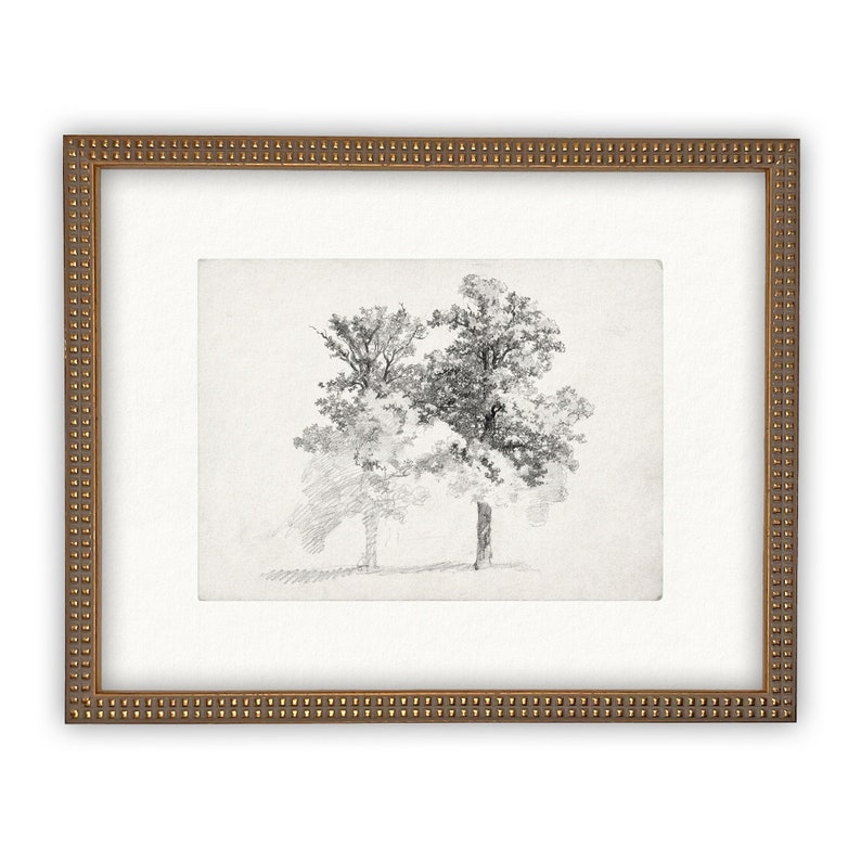 Vintage Framed Canvas Art // Framed Vintage Print // Vintage Painting // Black White Trees Sketch // Farmhouse print //BOT-123 Bild 4