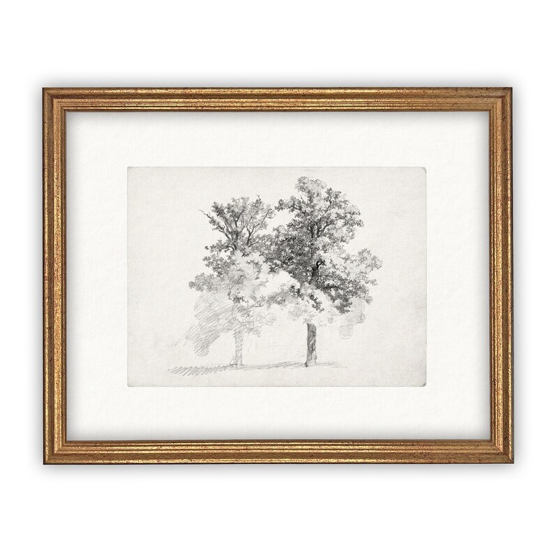 Vintage Framed Canvas Art // Framed Vintage Print // Vintage Painting // Black White Trees Sketch // Farmhouse print //BOT-123 Bild 2