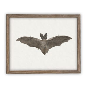 Vintage Framed Canvas Art // Framed Vintage Print // Vintage Halloween Painting // Spooky Bat Wall Art // Halloween print //#H-101 image 3