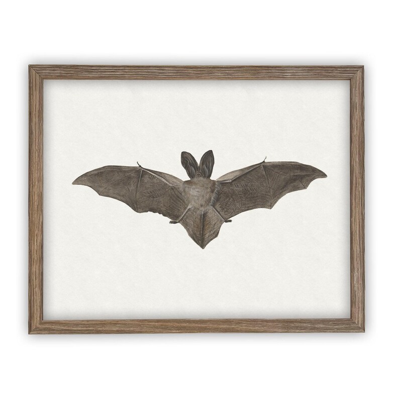 Vintage Framed Canvas Art // Framed Vintage Print // Vintage Halloween Painting // Spooky Bat Wall Art // Halloween print //#H-101 image 3