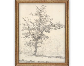 Vintage Framed Tree Sketch Print: Farmhouse Canvas Art