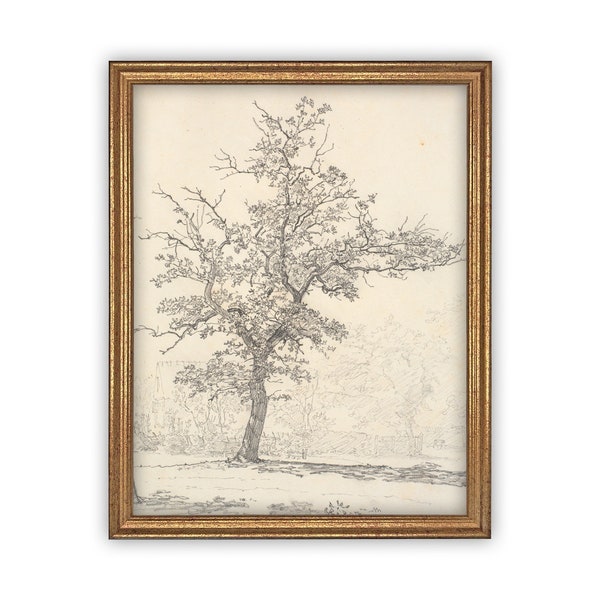 Vintage Framed Tree Sketch Print: Farmhouse Canvas Art