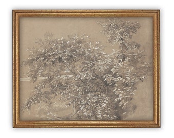 Framed Vintage Botanical Sketch Print: Neutral Farmhouse Canvas Art