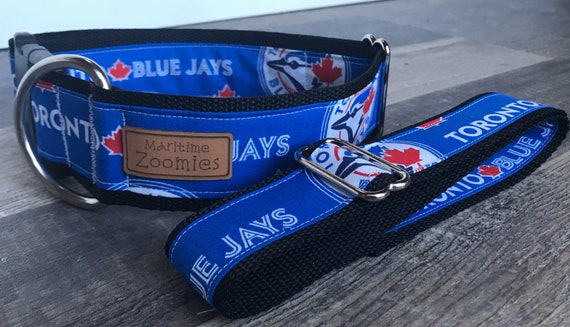 blue jays dog collar