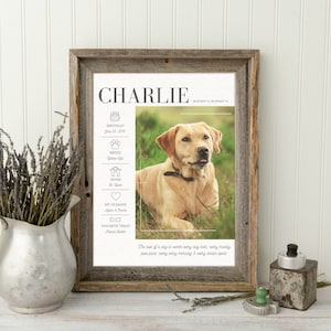 Custom Dog Stats with Photo | Pet Lover Gift for Valentines Day | Personalized Pet Memorial Gift | Pet Mom Gift | Pet Lover Gift for Men