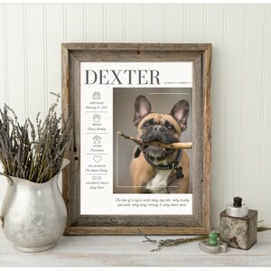 Custom Dog Stats with Photo | Pet Lover Gift for Valentines Day | Personalized Pet Memorial Gift | Pet Mom Gift | Pet Lover Gift for Men