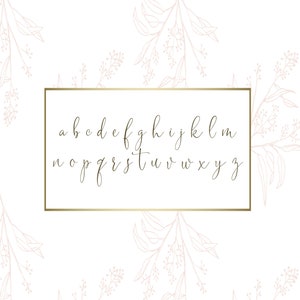 May include: A gold-colored, handwritten lowercase alphabet is displayed inside a gold rectangular frame. The letters are in a cursive style. The background is white with a pattern of pink floral line drawings.
