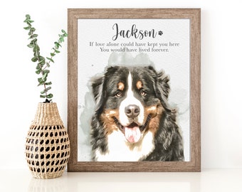 Personalized Pet Memorial Dog Frame | Pet Loss Gifts | Cat Loss Gift | dog mom gift | Pet Portrait Gift | Pet Sympathy Gift | Pet Loss Frame