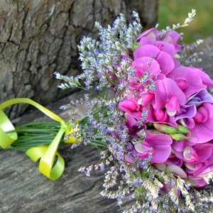 New Sweet Pea SEEDS &quot;Fragrant Mix&quot; Seeds -- Lathyrus Odoratus -- Free Shipping US (20 Seeds) Sweetpea Aromatic