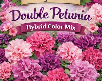 Premium Double Petunia **Seeds** Hybrid Color Mix --  15 Seeds