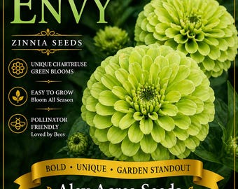 Nasiona zielonej cyni heirloom – odmiana Giant Chartreuse 'Envy' (10 nasion)