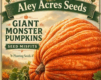 12 semi di zucca mostruosa "Misfit" - Coltiva zucche gigantesche
