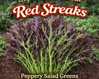 Mizuna japonesa "vetas rojas" (Brassica juncea) **Semillas** - 50 semillas, ricas en nutrientes, ideales para batidos y ensaladas.