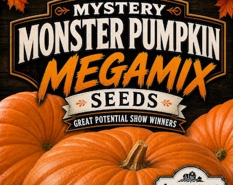 Semi di zucca mostruosa e divertente Megamix, vincitori del premio Show - 8 semi
