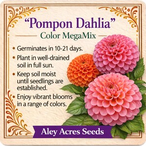May include: A seed packet for "Pompon Dahlia" Color MegaMix. The image features three vibrant dahlias in shades of pink and orange, with green foliage. Text on the packet details germination and care instructions. The brand name "Aley Acres Seeds" is also visible.