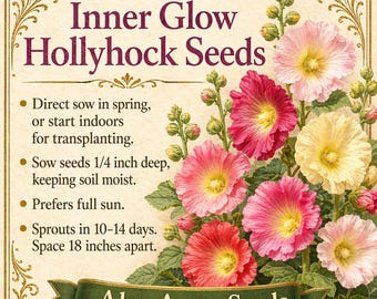 Peut inclure: Un sachet de graines de style vintage pour "Inner Glow Hollyhock Seeds" avec des fleurs de rose trémière roses, rouges et jaunes. Le sachet comprend des instructions de plantation et le logo "Aley Acres Seeds".