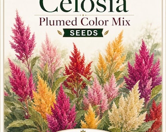 Celosia Seeds - Plumed Color Mix (20 Seeds)