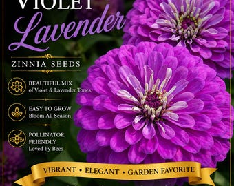 Sementes de Zínia Roxa – Mix de Lavanda e Violeta Gigante (20 sementes)