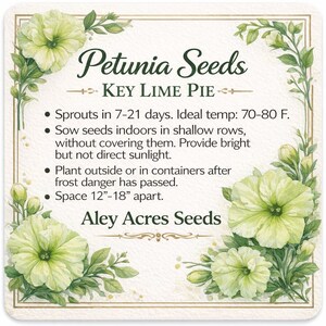May include: A square card with the text "Petunia Seeds KEY LIME PIE" surrounded by watercolor illustrations of light green flowers and leaves. The card provides planting instructions, including spacing of 12-18 inches apart.