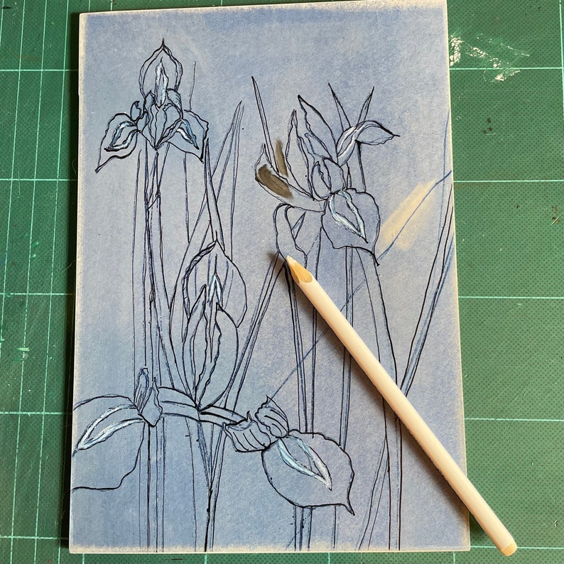 Blue Irises lino print Artist Proofs image 5