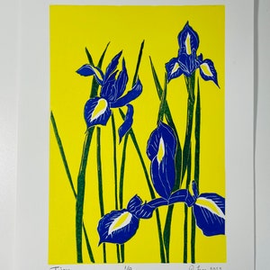 Blue Irises lino print Artist Proofs image 2