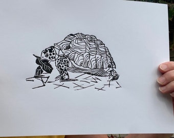 Large Tortoise 'Tilly tortoise' print, Original handmade, black ink lino print.