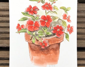 Red flower in a red terracotta pot, Busy Lizzie plant, sunny and bright, plant for mum,