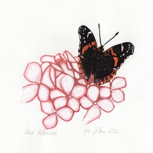 Red Admiral Butterfly, original lino print, handmade gift.