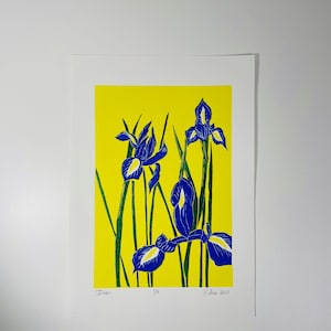 Blue Irises lino print Artist Proofs image 1