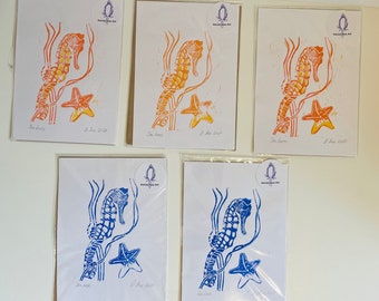 Seahorse and starfish Artist proofs