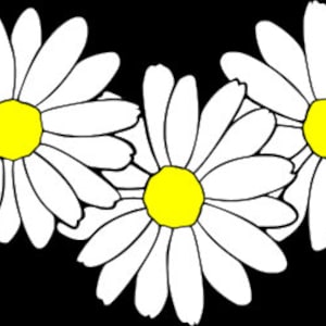 May include: A row of five white daisies with yellow centers. The daisies are arranged in a line, with the centers of the flowers facing the viewer.