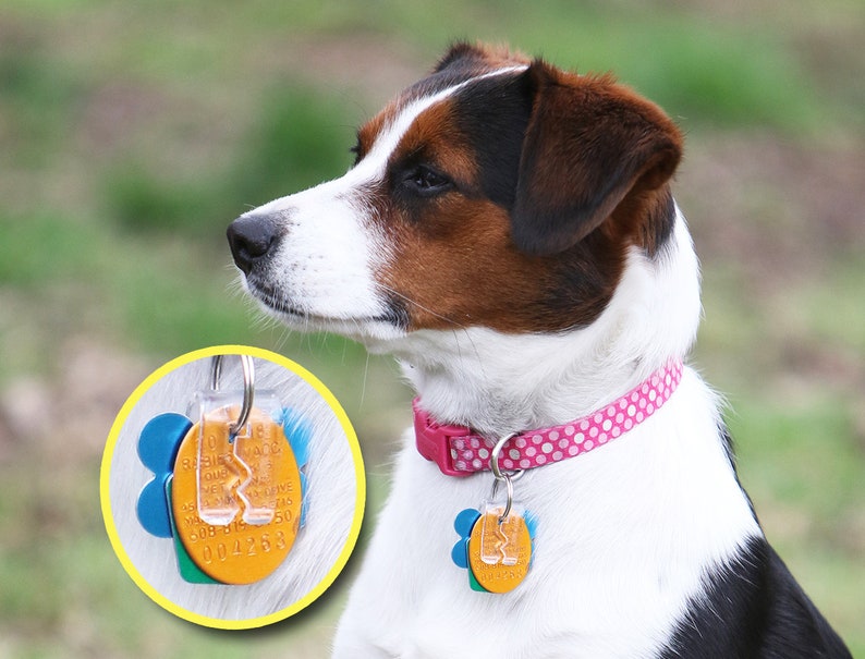 SilenTags Dog Tag Silencer Quiets Jingling Dog Tags Etsy