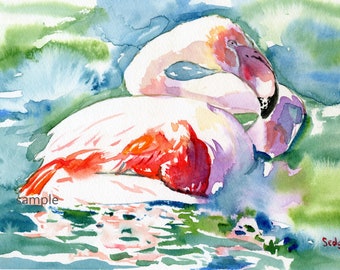 Paddling Flamingo