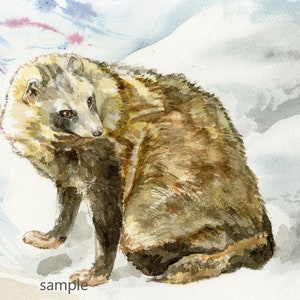 Turning Raccoon Dog