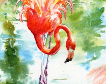 Flamingo in Green Pond