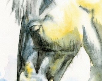 Head of White Horse