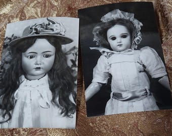 Vintage Black White Professional Photograph  French/German Antique Dolls #20