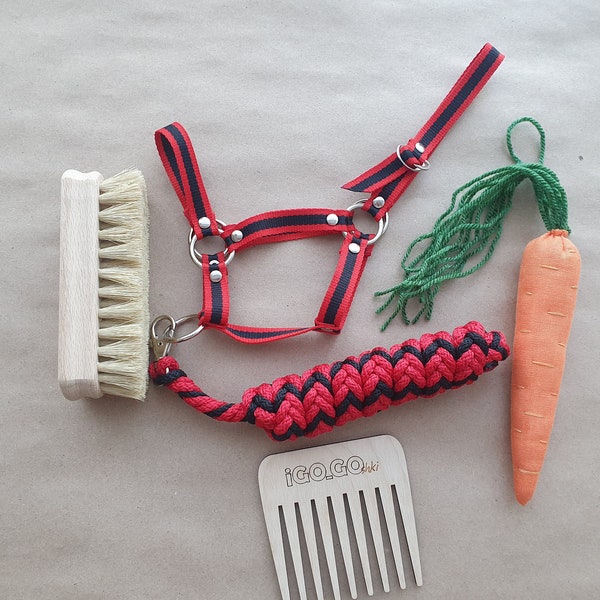 Hobby horse care / feed set