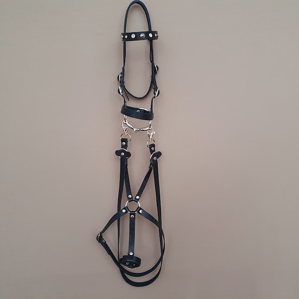 Hobby Horse Bridle Etsy