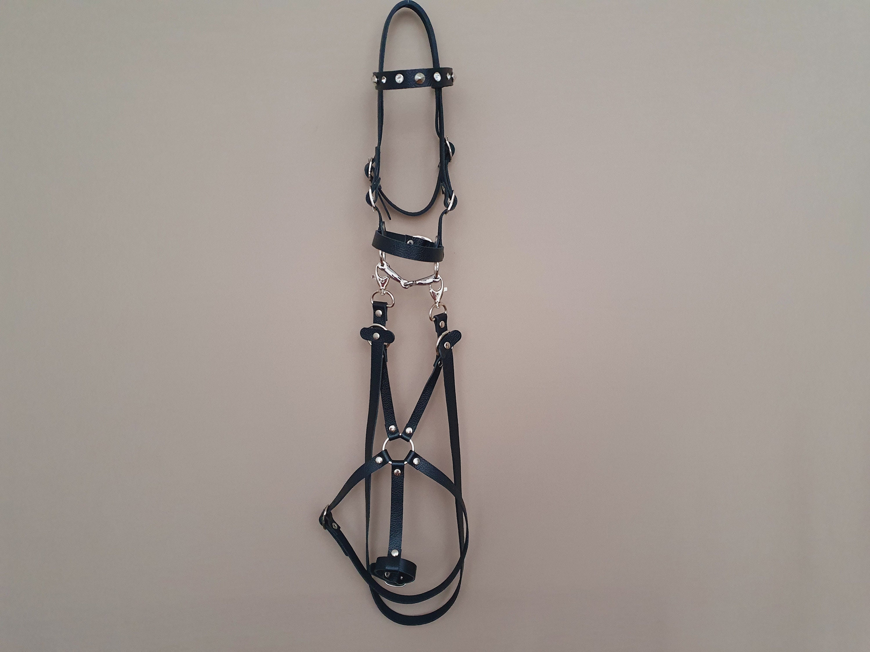 Hobby Horse Bridle With Martingale 