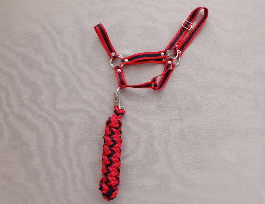 Hobby Horse HALTER With a Lead Rope by CUSTOMERS MEASUREMENTS Etsy