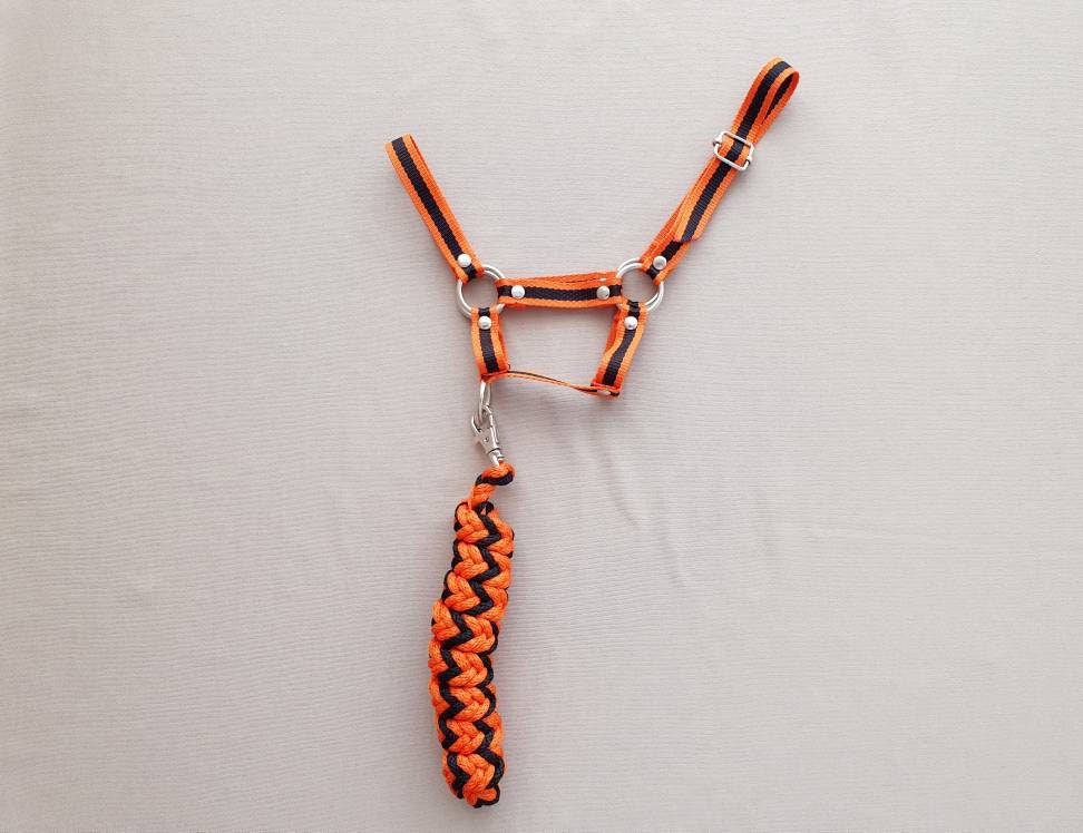 Hobby Horse HALTER With a Lead Rope by CUSTOMERS MEASUREMENTS Etsy