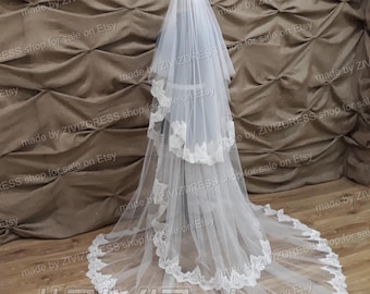 Lace Wedding Veil and Detachable Train: Blush Bridal Skirt