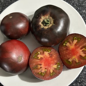 Blue Beauty TOMATO- Vegetable Seeds 10 seeds