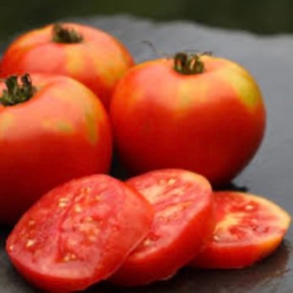 Baker Family Heirloom Tomato 30 Seeds