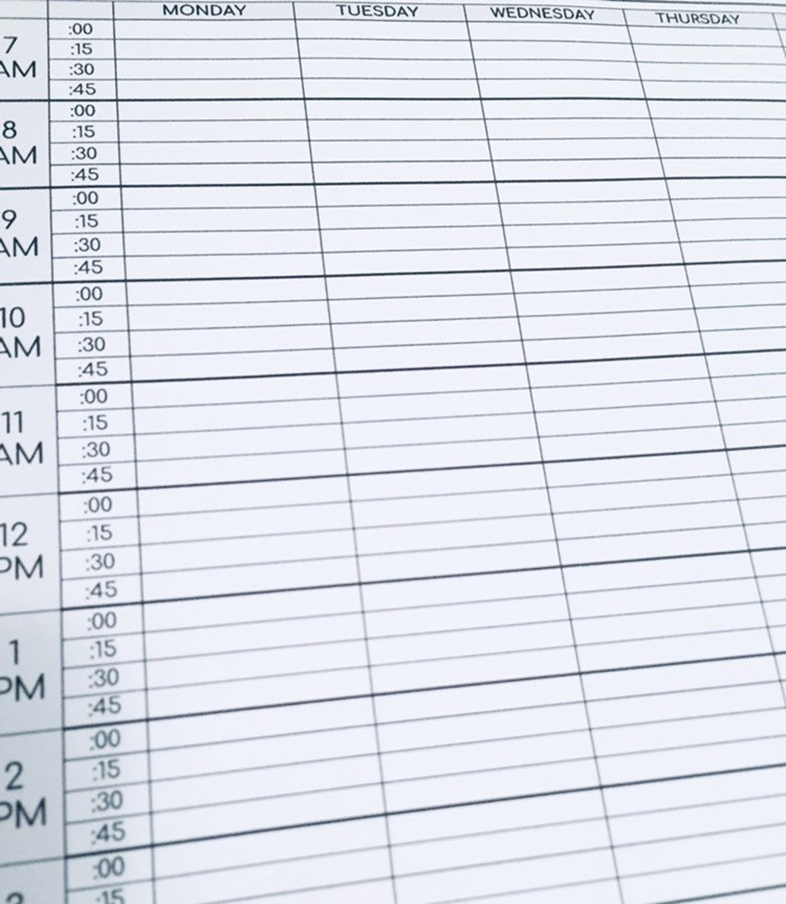 Daily Appointments Printable Editable Appointment Sheet | Etsy