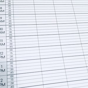 Daily Appointments Printable | Editable Appointment Sheet | Instant ...