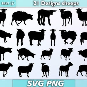 Pacchetto di pecore in formato SVG/pecore in formato SVG/vettore di pecore/ pecore silhoeutte/pecore da fattoria animale in formato SVG/animali in formato SVG/PNG/SVG