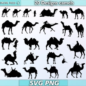 Pacchetto di cammelli in formato SVG/cammello in formato SVG/animale in formato SVG/sagoma di cammello/clipart di cammelli/animale del deserto in formato SVG/vettore di cammello/svg/png